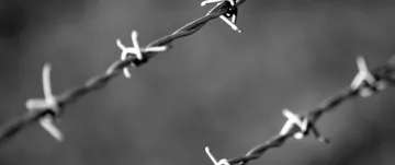 Slideshow Jual Kawat Duri  Kawat Silet Berbagai Jenis dan Ukuran barbed wire black and white blur close up 583347